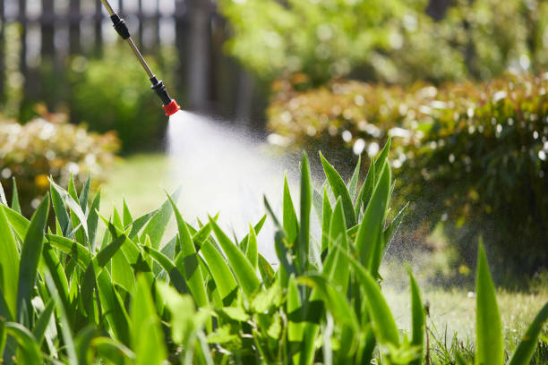 24/7 Emergency Mosquito Control experts in Homestead, FL